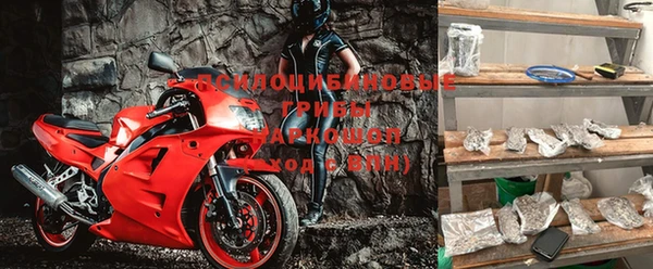 гидропоника Болотное