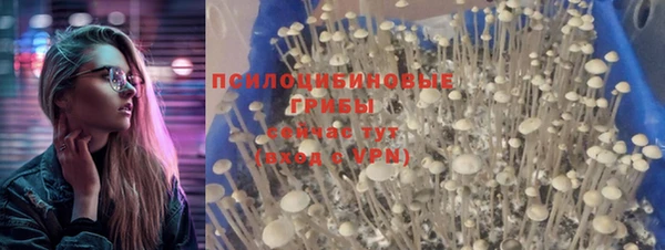 гидропоника Болотное